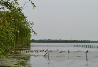 Chongming Island