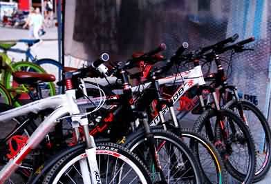 Shanghai Cycling