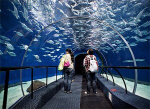 Shanghai Ocean Aquarium